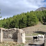 I ruderi del Forte di Foens e sullo sfondo lo Jafferau